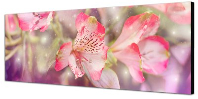 Augenblicke Wandbilder Keilrahmenbild Wandbild 150x50cm Blumen Farbfilter rosa pink