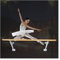 Einzelne Ballettstange, an der Wand montierte Ballettstange, höhenverstellbar von 80–120 cm, Fitness-Tanzstangen aus Buchenholz für Stretch, Yoga und Training (Farbe: Weiß, Größe: