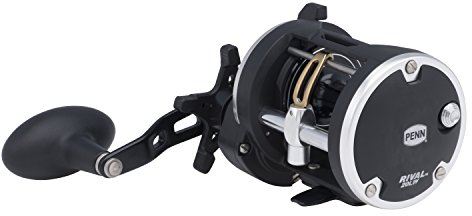 PENN Rival Level Wind Conventional Nearshore/Offshore Fishing Reel, HT-100 Star Drag, Max of 15lb | 6.8kg, Forged and Machined Aluminum Spool, 20, Multi