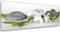 Feeby Leinwandbilder - Deko Bilder - Weiß Orchidee Zen Steine Grau - Canvas 120x40 cm 1tlg- Wandbilder Schlafzimmer - Aesthetic Room Decor - Modern Wanddeko - Bild auf Leinwand - Fertig Gespannd