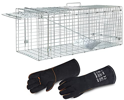 ANT MARCH Live Animal Cage Trap with Gloves 37x13.5x14.5 Large Steel Humane Release Rodent Cage for Rabbits, Stray Cat, Squirrel, Raccoon, Mole, Gopher, Opossum, Skunk, Chipmunks, Groundhog Squire