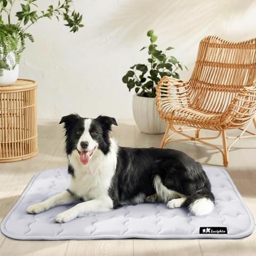 luciphia Alfombra refrescante para perros y gatos,Alfombrilla para perros,cojín refrescante para el verano,cama lavable para perros,manta refrescante perros grandes,medianos y pequeños Gris 102*153cm