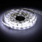 Jandei - Tira Led 5 mts 12V para Exterior IP65, Luz Fría 6000K, 300 LEDs, SMD2835, Luces LED Impermeables 6W Bajo Consumo, Autoadhesiva, Cortable cada 5 cm (no incluye fuente alimentación)