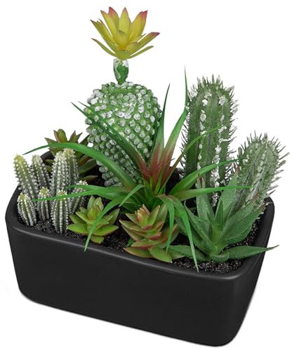 Oairse Kunstpflanze Kaktus Kunstpflanze Sukkulenten im Keramiktopf Zimmerpflanze Decorative Wohnzimmer, Fensterbank, Tischdeko Deko für Wohnzimmer Mutter Tochter Geschenk, Schwarz Topf