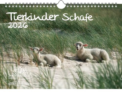 Tierkinder Schafe DIN A4 Kalender für 2026 Schafe und Lämmchen - Seelenzauber