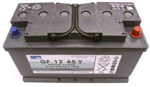 Sonnenschein - Batterie plomb etanche gel GF12065Y Gel 12V 65Ah Auto