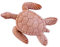 ANTICO MESTIERE Tartaruga Marina Grande 14CM in Terracotta