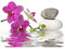 DCIDBEI Diamond Painting Orchideen 40x30cm 5D Diamant Painting Bilder Orchideen Lila Diamond Painting Blumen Orchideen Lila Diamond Painting Anfänger Diamond Painting Kinder Mädchen Puzzle Blumen