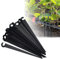 100 pezzi Pali di supporto, Perni per irrigazione Confezione da 100 Portagocce Micro Tubo da Giardino in PE Picchetti da Terra Micro Gocciolamento Porta Tubo Portagocce Tubo da Giardino Nero Micro