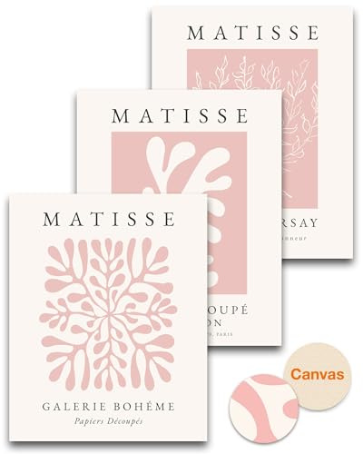HesenDot Lot de 3 affiches murales abstraites sur toile sans cadre, rose Matisse, 30 x 40 cm, impressions botaniques bohèmes, décoration d'intérieur minimaliste et esthétique pour salon, chambre à