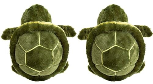Süße Schildkröte Sport Knie Albow Schutz Ski Skate Snowboard -ski -beschützer Gepolstert Kinderschildkröte Kissen Pad