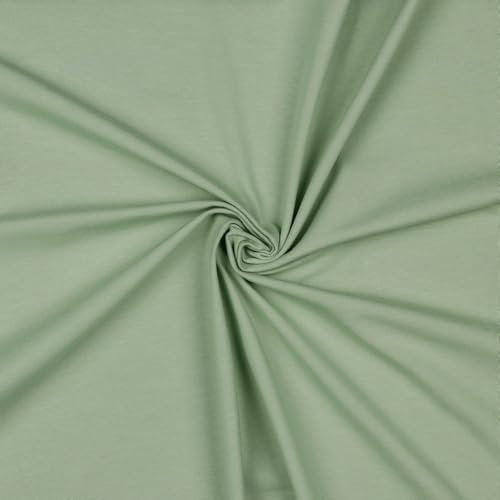 Jerseystoff Uni Meterware Tex Standard 100 + GOTS zertifiziert 69 Farben zur Auswahl (058 I Sage, 200 x 150cm)