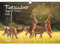 Tierzauber Jagd & Forst DIN A3 Kalender für 2024 - Seelenzauber