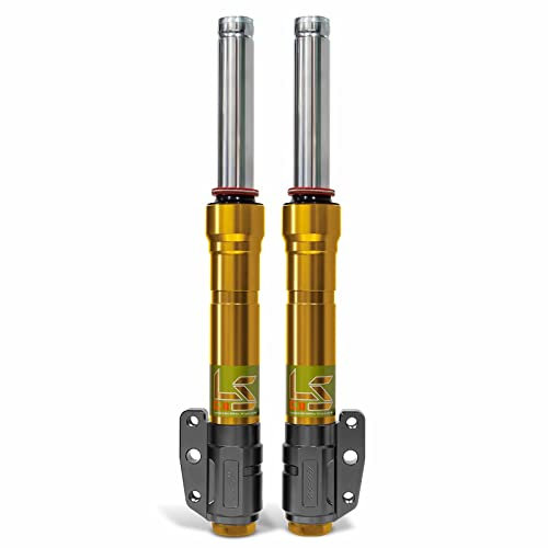 Taiwan R.P.M Forcella Anteriore GII LS, 380mm, Oro/Argento, compatibile con Yamaha Cygnus X 2°/3°, staffa inclusa per pinza radiale grande, disco freno 245mm