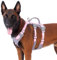 Huntboo Sicherheitsgeschirr Hund Ausbruchsicher, Panikgeschirr für Hunde, Reflektierendes Geschirr Hund mit Griff, Verstellbare Hundegeschirr für kleine, mittelgroße und große Hunde (Hellrosa,L)