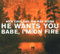 He Wants You/Babe I'M on Fire