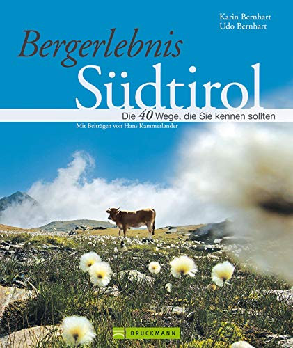 Bergerlebnis Südtirol - Wanderführer: Südtirol zu Fuß mediterran bis hochalpin: Der Wanderführer stellt 40 Traum-Wege vor, zum Bergwandern rund um das ... Sulden, Ortler, Reschen, Bruneck...