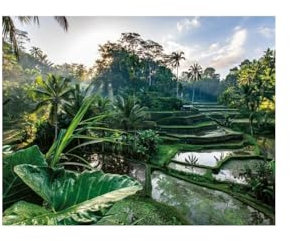 Nathan 12001518 Puzzle mit 2000 Teilen – Im Herzen von Bali – Erwachsene und Kinder ab 14 Jahren – Hochwertiges Puzzle – perfekte Integration – Kollektion Escape