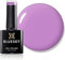 Bluesky Gel Nail Polish, Terra Rosa Dc080, Colour, Light, Pink,Taffy 10 ml (Requires Curing Under UV LED Lamp)