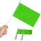 Anley Lot de 12 mini drapeaux verts – Petits drapeaux miniatures vierges verts solides sur bâton – Résistant à la décoloration – 12,7 x 20,3 cm avec mât solide et pointe en forme de lance