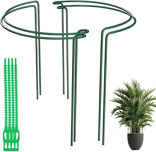 Tuteur pour Plante Interieur, 4 Pièces Assemblés Tuteurs pour Plantes Tomate, 40 x 25cm Verts Demi-Ronds Anneau de Support de Plante, Supports de Jardin en Métal pour Pivoines, Roses