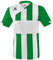 Erima Herren Siena 3.0 Trikot (3131820), smaragd/weiß, M