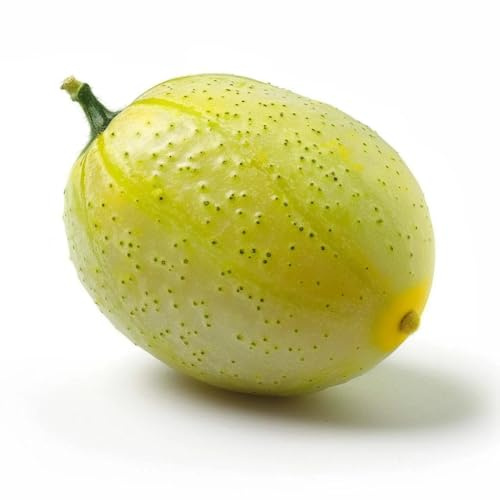 12 Semillas de Pepino Limón - SemiSauvage Permacultura