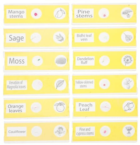 Healeved 12pcs Prepared Microscope Slides Set with Plant Specimens, Plastic Biological Sample Slides for ’s Science Education and Biology Experiments