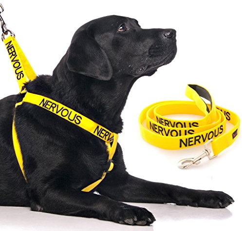 NERVOUS (Give Me Space) Yellow Colour Coded Non-Pull Dog Harness and 60cm 1.2m 1.8m Luxury Neoprene Padded Handle Lead Sets PREVENTS Accidents By Warning Others Of Your Dog In Advance (Harness & 1.2m)