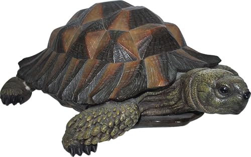 Nature Friends Size B Tortoise