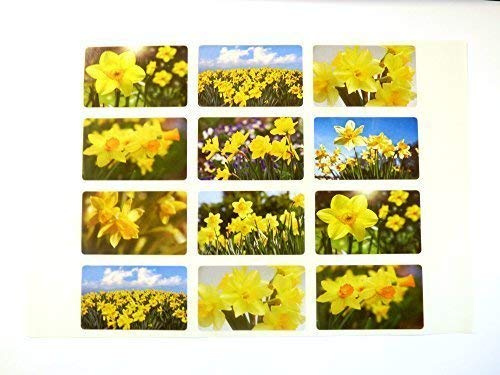 Daffodil Seal Labels Decorative Floral Stickers for Envelopes, Self-Adhesive Labels