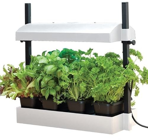 Mini jardin blanc avec lampes 2x24W - Garland potager cuisine et salon