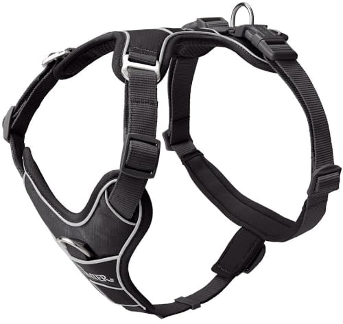 Geschirr Divo Up Farbe schwarz, Größe L-XL