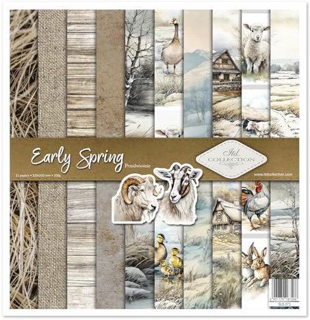 ITD Collection - Scrapbook Papier - Scrapbooking Set - Motivpapier zum Basteln - Dekorpapier 12x12 inches - 310 x 310 mm - 10 Blatt + 1 – Early Spring - SLS-073