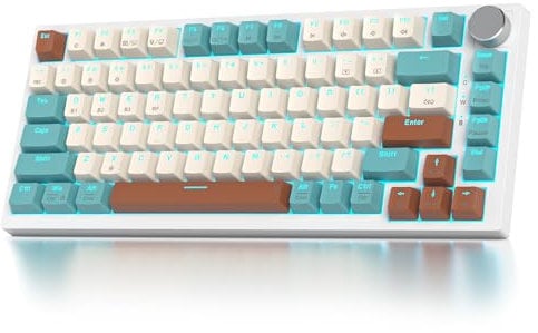 SOLIDEE mechanische Gaming Tastatur 75 Prozent mit Knopf,Bluetooth 5.0/2.4GHz/USB-C,Gasket Mount,hot-swap-fähige mechanische Tastatur mit RGB Hintergrundbeleuchtung,Cream Grey Switch(82 Brown)