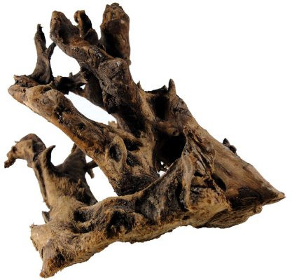 Mangrovenwurzel 15-25 cm, Dekoration für Aquarium und Terrarium