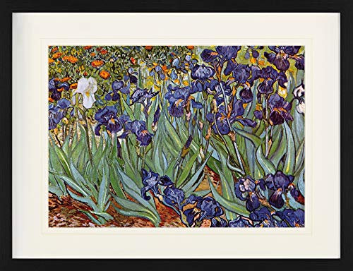 1art1 Vincent Van Gogh Poster Iris,1889 Gerahmtes Bild Mit Edlem Passepartout | Wand-Bilder | Im Bilderrahmen 80x60 cm