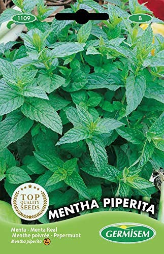 Germisem Mentha Piperita Semillas de Menta 0.2 g