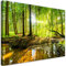 Feeby Vlies Leinwand Bilder - Vlies Bild Wohnzimmer - Wald See Natur - 30x20 1tlg - Deko Schlafzimmer Groß - Wanddekoration - Gemälde - Modern Wandbilder - Kunstdruck