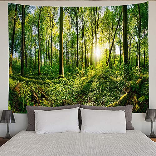 BCKAKQA Forest Tapestry Wall Hanging Green Tree and Sunshine Tapestries Nature Landscape Wall Tapestry for Bedroom Dorm Living Room Home Decoration Background Wall Blanket (230X180cm,91X71)