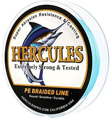 Hercules Super Cast 300M 328 Yards Braided Fishing Line 50 LB Test for Saltwater Freshwater PE Braid Fish Lines Superline 8 Strands - Blue, 50LB (22.7KG), 0.37MM