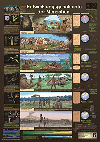 Close Up Entwicklungsgeschichte der Men schen Poster, deutsch DIN A1 (59,4cm x 84,1cm) + Ü-Poster