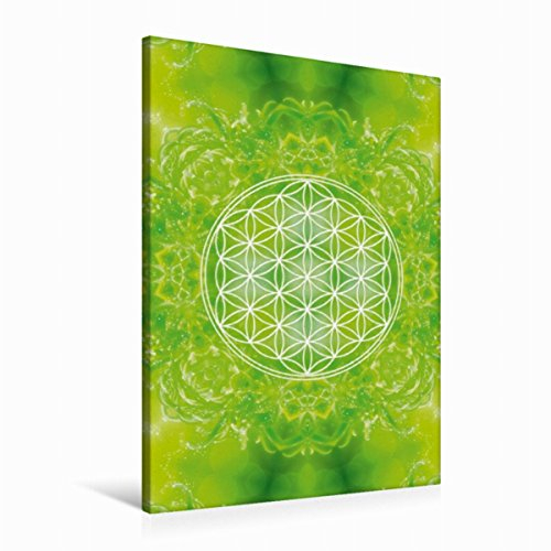 Premium Textil-Leinwand 60 x 90 cm Hoch-Format Blume des Lebens - Heilkraft Natur | Wandbild, HD-Bild auf Keilrahmen, Fertigbild auf hochwertigem Vlies, Leinwanddruck von Gaby Shayana Hoffmann