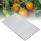 Akozon 10000 Stück Tackernadeln, Heftklammern, Tacker, Pflanzenbindemaschine Klammern 604C Tomate Rebe Binder Nagel Tapetool Garten Nagel Zweig Binden Nagel für Tomaten, Gurken, Trauben, Paprika