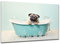 DARO Design - Toiletten-Bild auf 6mm HDF 84x56 cm Hunde-Welpe Mops in der Badewanne - Wand-Deko Bilder Lustiges Geschenk