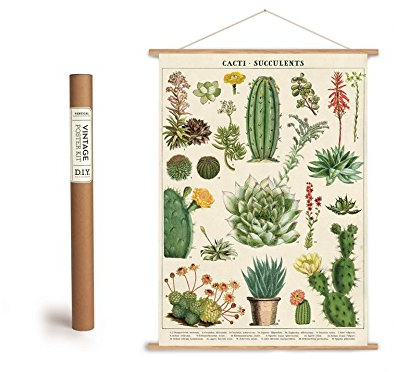 Cavallini Vintage Poster Set mit Holzleisten (Rahmen) und Schnur zum Aufhängen, Motiv Kakteen, Kaktus