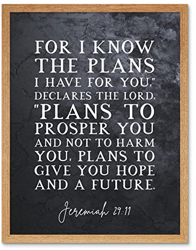 Artery8 Jeremiah 29:11 I Know The Plans I have For You Plans to Give You Hope Christian Bible Verse Quote Scripture Typography Art Print Framed Poster Wall Decor 12x16 inch