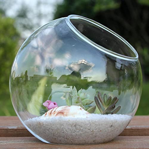 HpLive Vasi in vetro paesaggistico miniaturizzato, vasi per bouquet trasparenti, piante grasse, contenitori in vetro, per casa, giardino, matrimoni, feste, decorazioni per display
