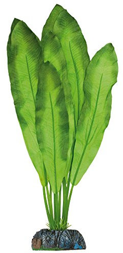 ICA Aquatic Plants AP1152 Planta de Seda Polygonum para Acuarios, 20 Cm