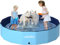 Lubolee Piscina Perros Grandes - Bañera Piscina para Perros y Piscinas Desmontables con Superficie Antideslizante (160x30cm) | Piscina Plegable Perros pequeños de PVC Espesado